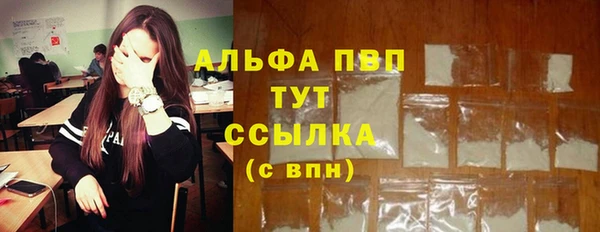 ECSTASY Армянск