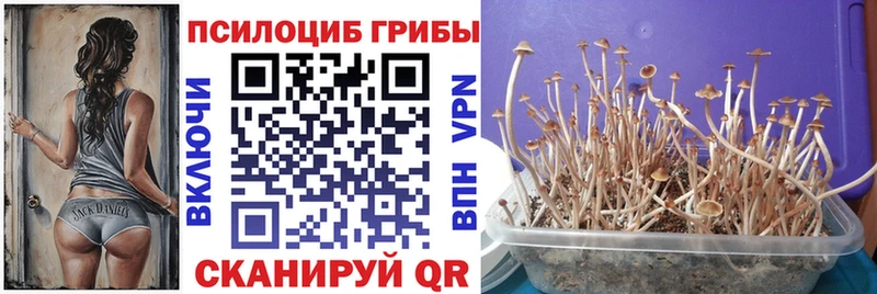 продажа наркотиков  Белогорск  Галлюциногенные грибы прущие грибы 